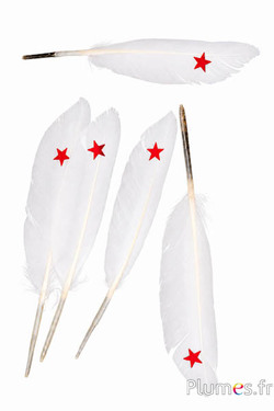 Gans mit rotem Stern - 12-17 cm - weiss-creme